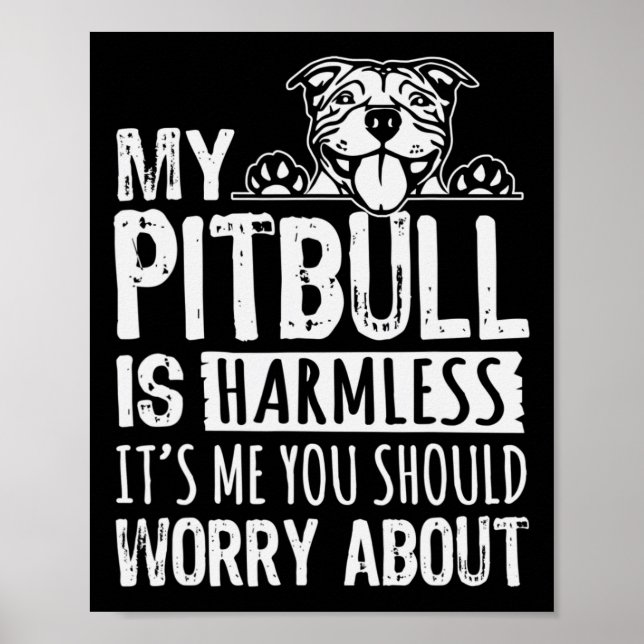Affiche Mon Pitbull est sans danger c'est moi que vous dev (Devant)