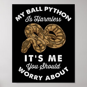 Affiche Mon Python Ball est sans danger C'est moi que tu d
