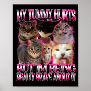 Affiche Mon ventre fait mal drôle brainrot stupide chats d