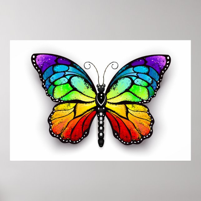Affiche Monarque papillon arc-en-ciel (Devant)