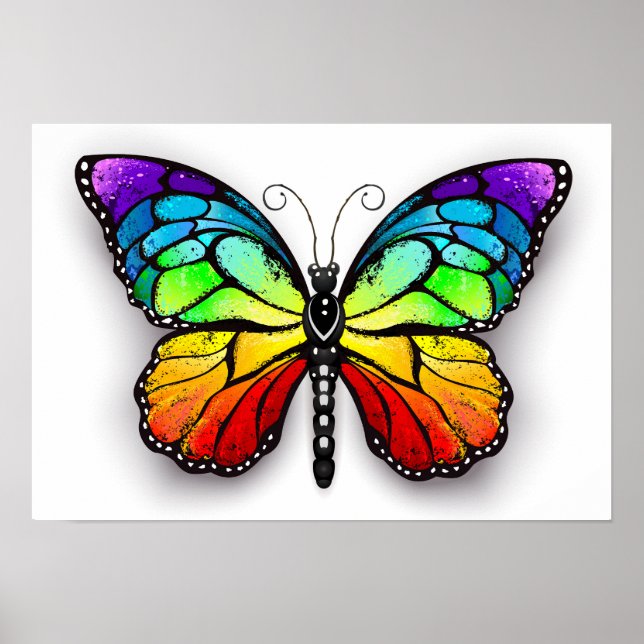 Affiche Monarque papillon arc-en-ciel (Devant)