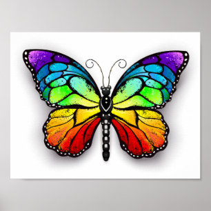 Affiche Monarque papillon arc-en-ciel
