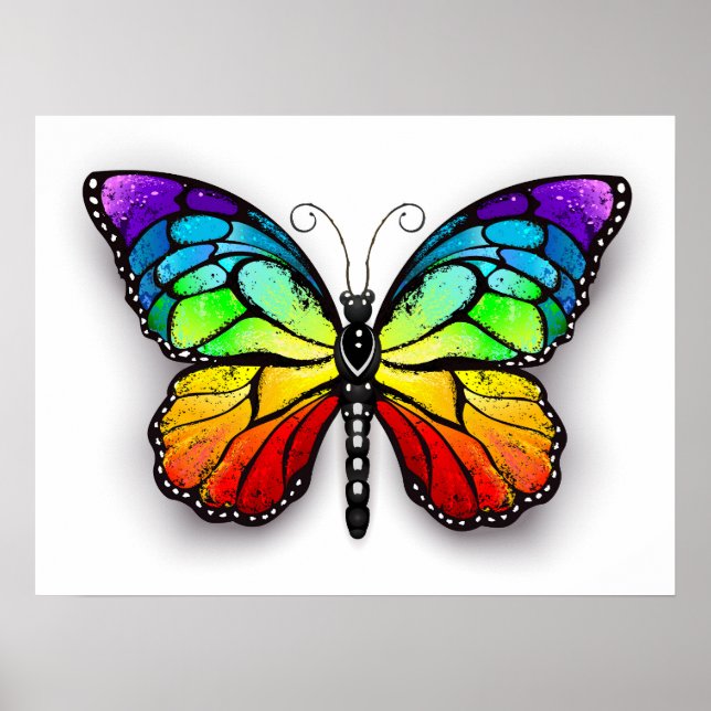 Affiche Monarque papillon arc-en-ciel (Devant)