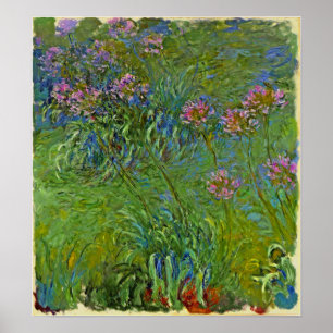 Affiche Monet - Fleurs d'Agapanthus 1917