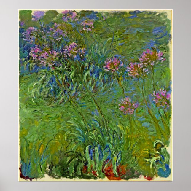 Affiche Monet - Fleurs d'Agapanthus 1917 (Devant)