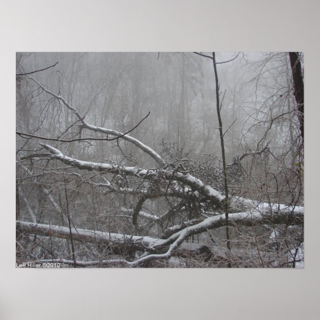 Affiche Monochrome Blizzard (Devant)