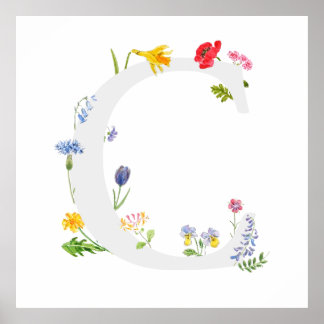 Affiche monogramme botanique alphabet c fleur sauvage