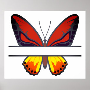 Affiche Monogramme de fractionnement de papillon orange pe