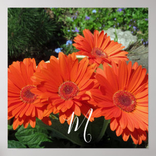 Affiche Monogramme Orange Floral Photographie