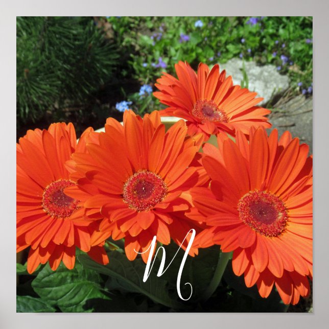 Affiche Monogramme Orange Floral Photographie (Devant)