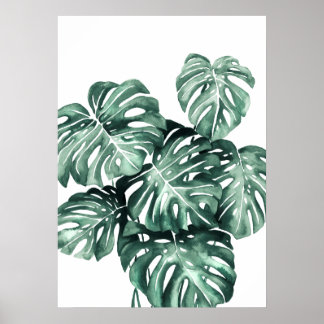 Affiche Monstera Deliciosa Feuilles