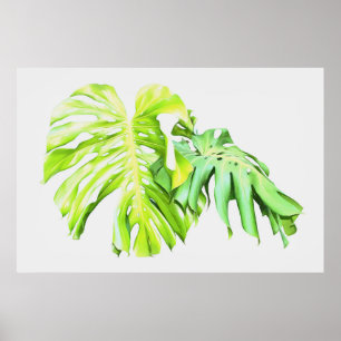 Affiche Monstera étude de la feuille artistique