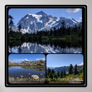 Affiche Mont Baker-Snoqualmie Collage forestier national P