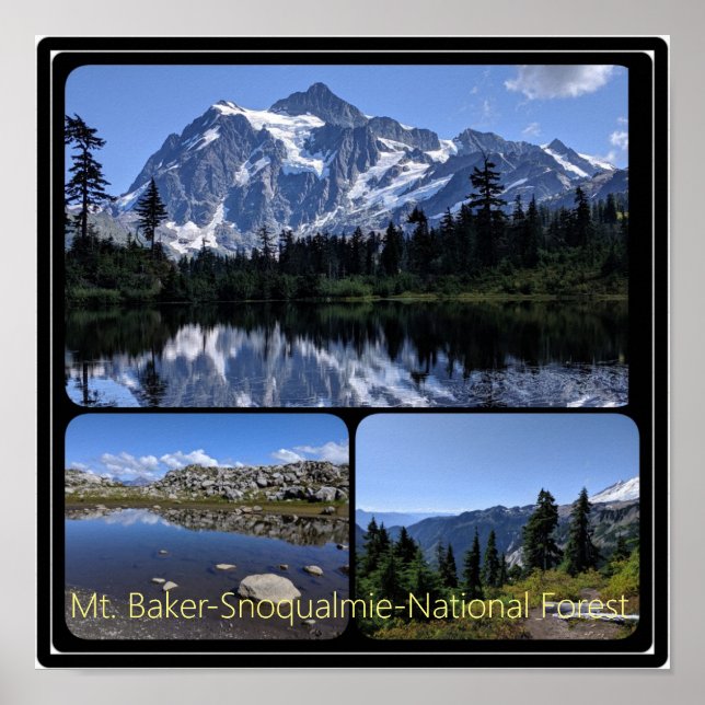 Affiche Mont Baker-Snoqualmie Collage forestier national P (Devant)