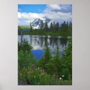 Affiche Mont Shuksan