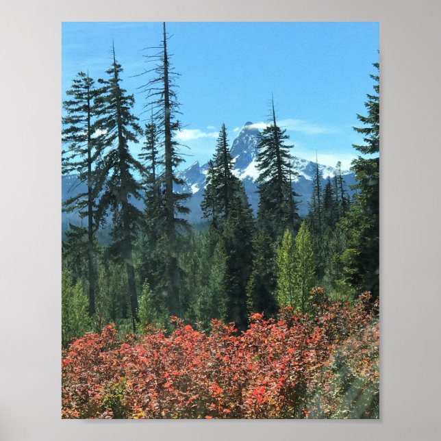 Affiche Mont Washington à l'automne, OR (Devant)