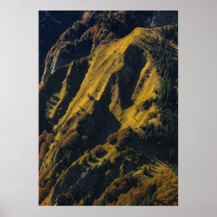 Affiche Montagne couverte d'herbe en automne