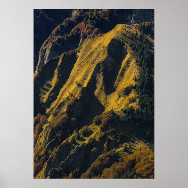 Affiche Montagne couverte d'herbe en automne (Devant)