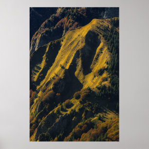 Affiche Montagne couverte d'herbe en automne