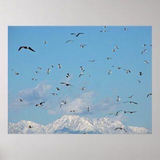 Affiche Montagne des neiges