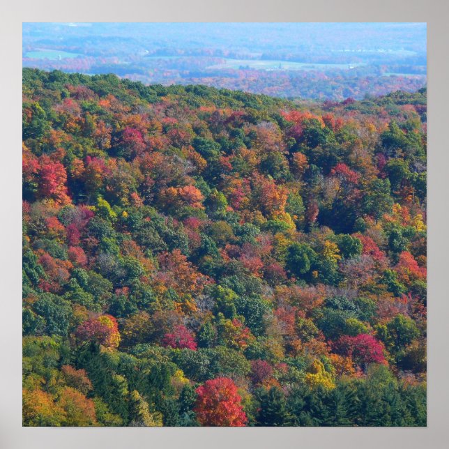 Affiche Montagnes Appalaches en automne (Devant)