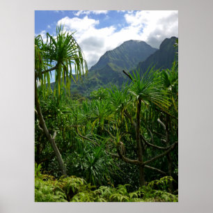 Affiche Montagnes de Koolau