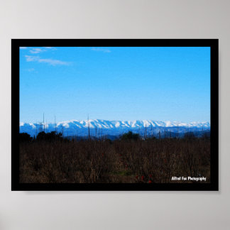 Affiche Montagnes enneigées derrière le champ de kakis