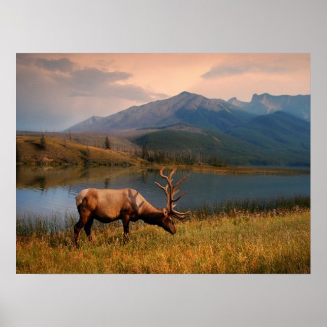 Affiche Montagnes | Jacques Mountain Range Alberta Canada (Devant)