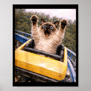 Affiche Montagnes Russes de Chat Drôle Graphique de Mème R