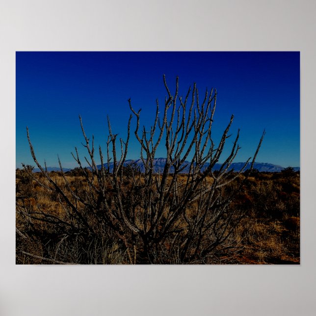Affiche Montagnes Sandia Albuquerque  (Devant)