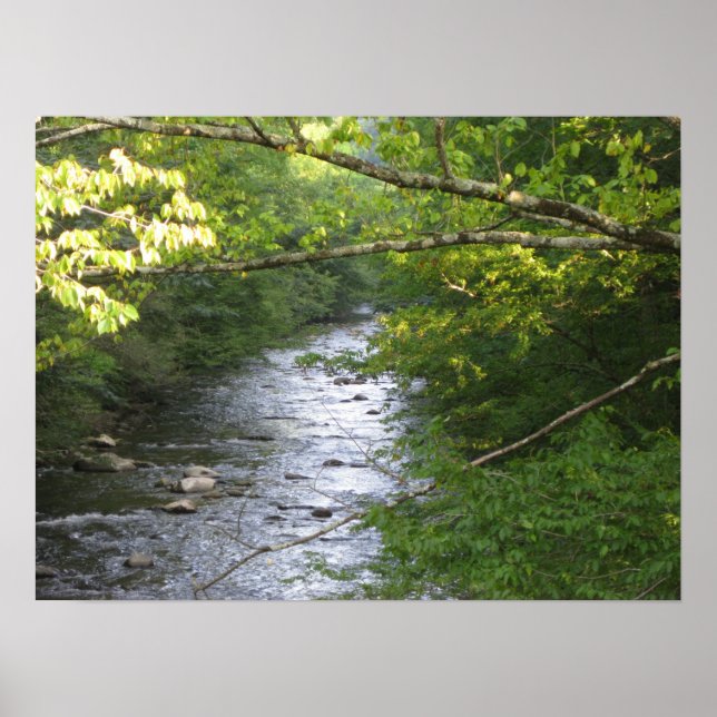 Affiche Montagnes Smokey (Devant)