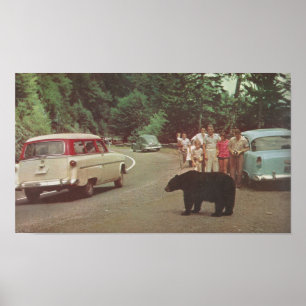 Affiche Montagnes Smoky de Caroline du Nord