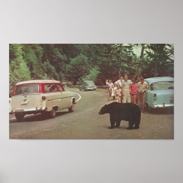 Affiche Montagnes Smoky de Caroline du Nord (Devant)