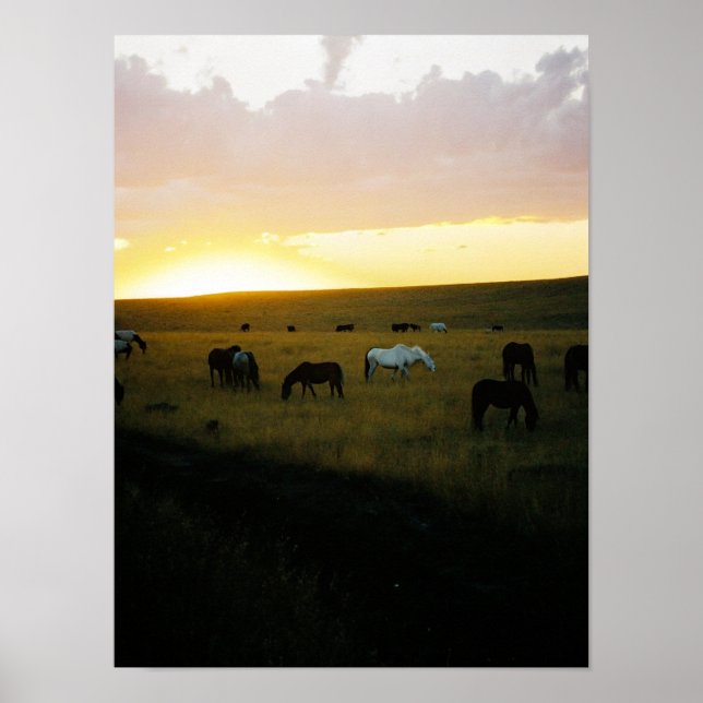 Affiche Montana Sky (Devant)