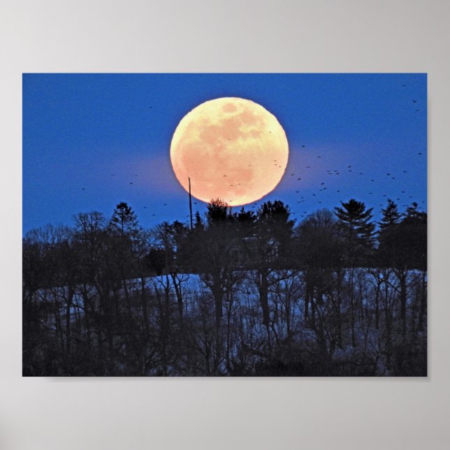 Affiche Montée de la lune de neige (Devant)