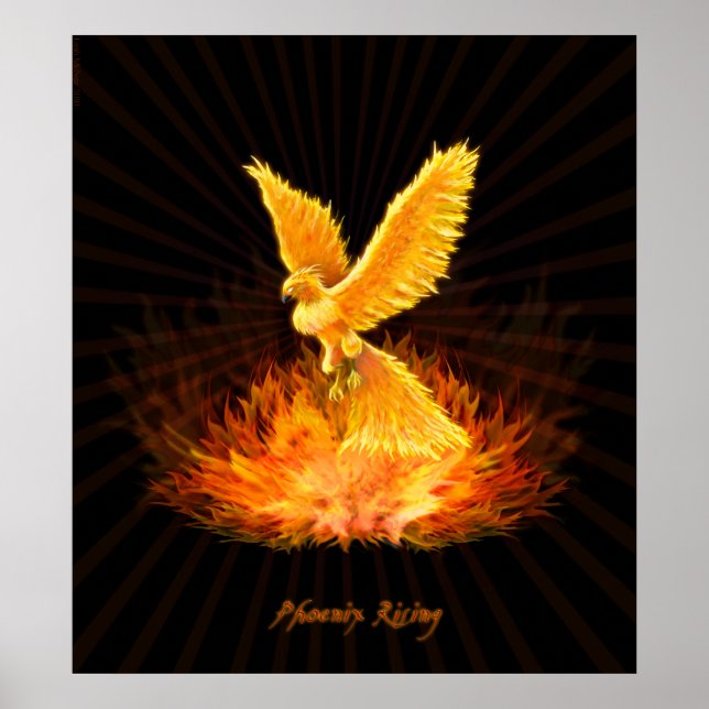 Affiche Montée de Phoenix (Devant)
