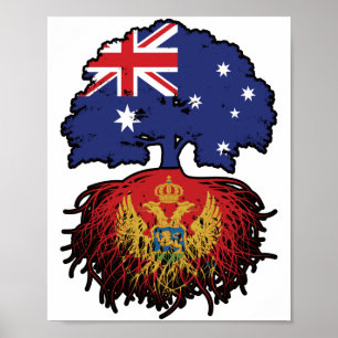 Affiche Monténégro Montenegro Australian Tree