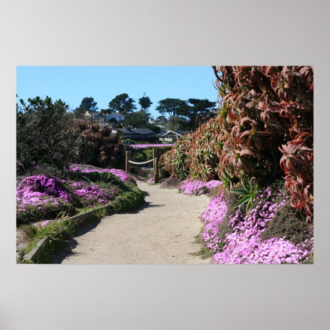 Affiche Monterey Beach trail, Spring Photo (Devant)
