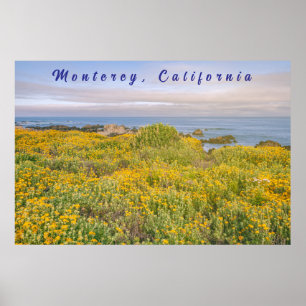 Affiche Monterey Spring