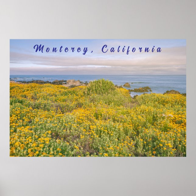 Affiche Monterey Spring (Devant)