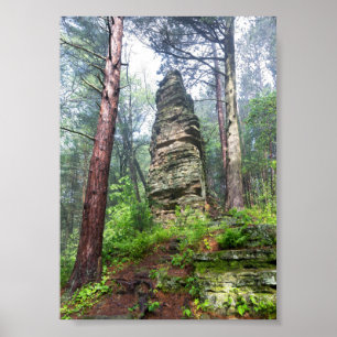 Affiche Monticule castrée dans la forêt de l'État