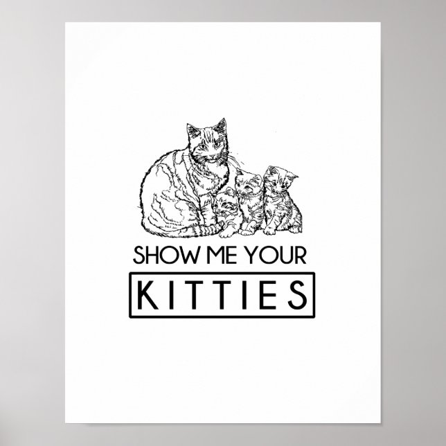 Affiche Montre-moi tes Kitties (Devant)