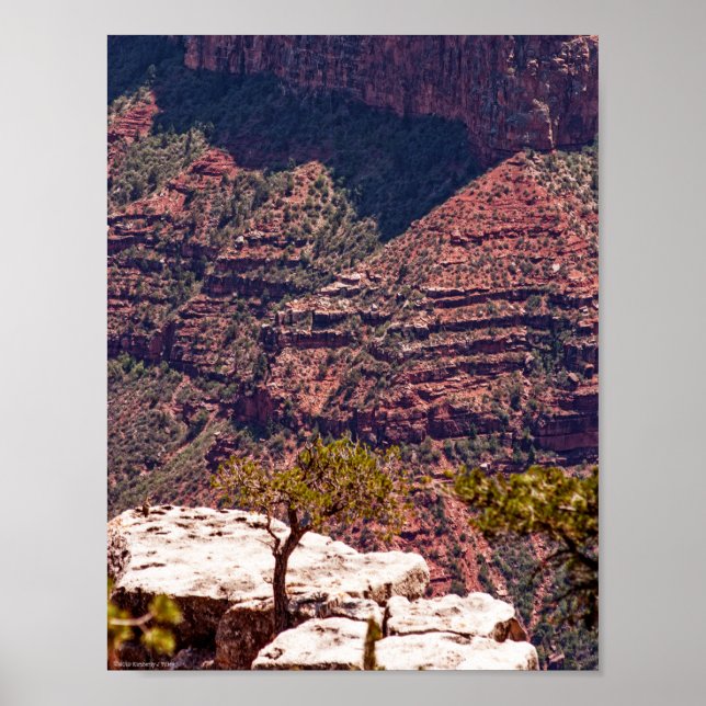 Affiche Montres Rafinesques (Devant)