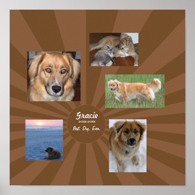 Affiche Monument aux chiens personnalisés (Devant)