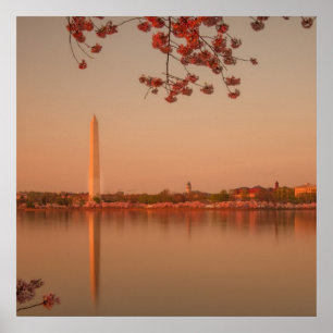Affiche Monument de Washington Sakura au coucher du soleil