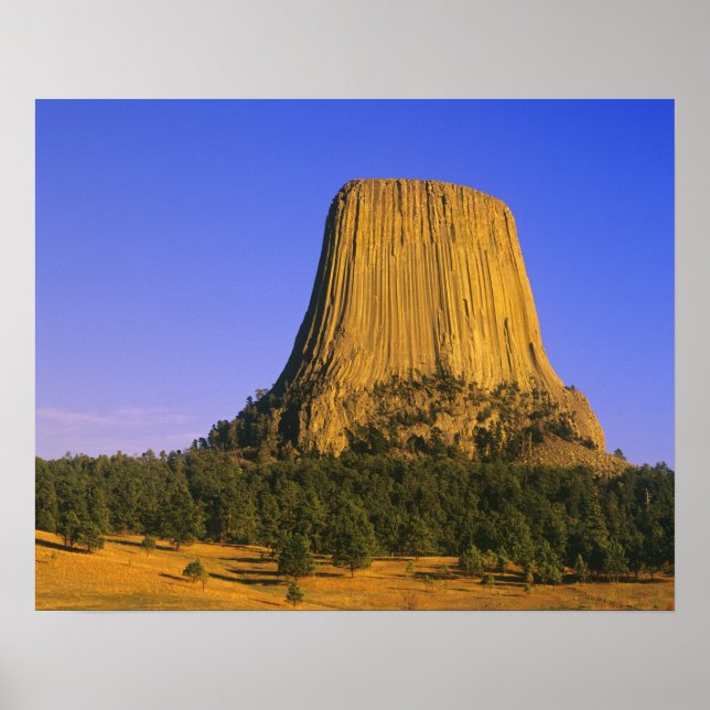 Affiche Monument national de Devils Tower dans le Wyoming (Devant)