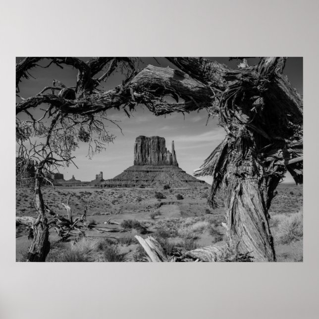 Affiche Monument Valley Noir et blanc (Devant)
