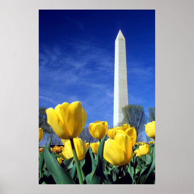Affiche Monuments | Washington Monument in Spring (Devant)