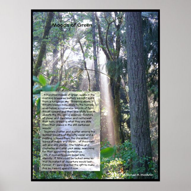 Affiche Moods of Green (Devant)