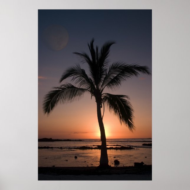 AFFICHE MOON PALM (Devant)